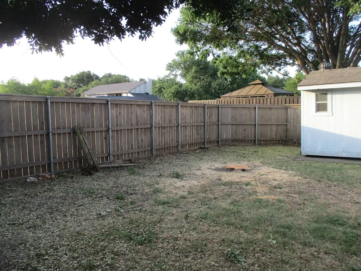 Cleared yard after professional tree removal in Midland City